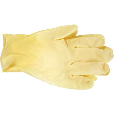 Glove Latex Powder Free XL