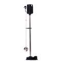 Upright Sump Pumps