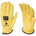 Cut Resistant Gloves,Size 10,Pr