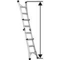 Extended Ladder Height