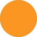 Inventory Control Label,Orange,