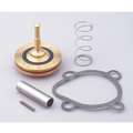 Valve Rebuild Kit,With