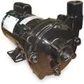 Pump,3/4 Hp,1 Ph,120/240VAC