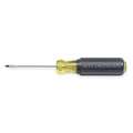 Slotted Screwdriver, 1/16 In