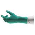 Disposable Gloves,Neoprene,6-1/