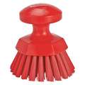 Scrub Brush,3 3/4 In Brush L