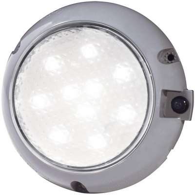 Dome Light,Round,Clear, White