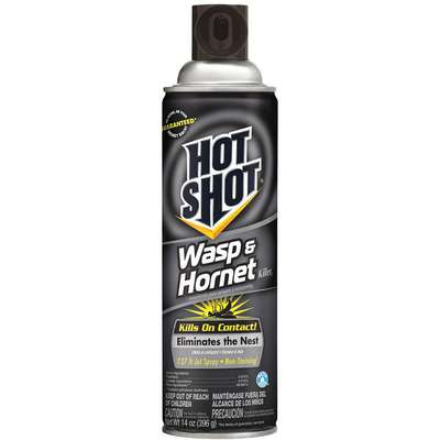 Wasp And Hornet Killer,14 Oz.,