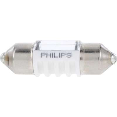 Interior Bulb DE3175W