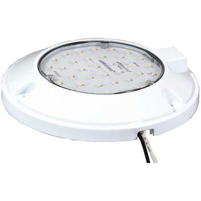 Dome Light,Round,Clear