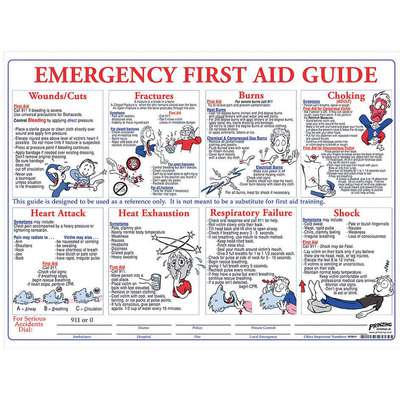 917164-5 First Aid Poster, English, 18