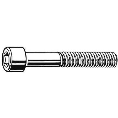 Shcs,A2 SS,M24-3.00x100mm,PK5