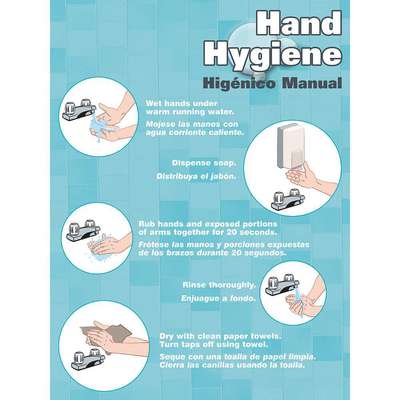 Poster,Hand Hygiene,18 x 24 In.