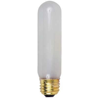 Lamp, 120V