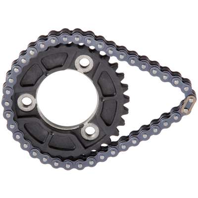 Roller Chain w/Sprocket