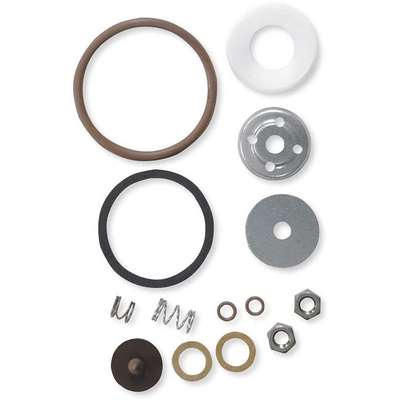 Sprayer Repair Kit,Viton,0.5