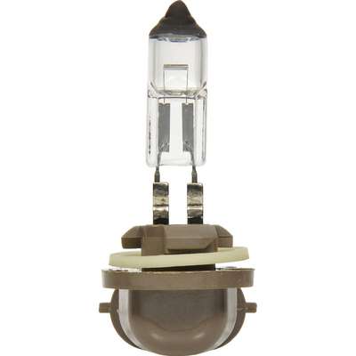 Halogen Bulb #898 Sylvania