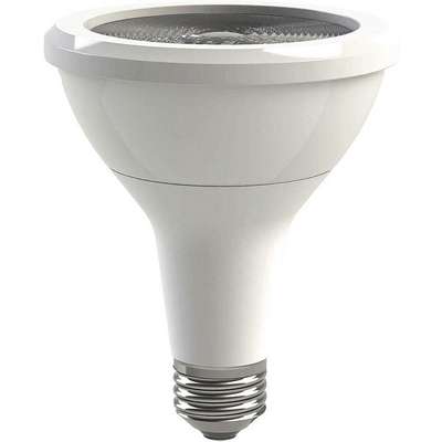 LED Lamp,PAR30L,12W,3000K,