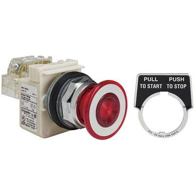 Illuminated Push Button,30mm,