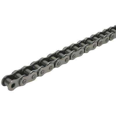 Roller Chain,Riveted,60SS,10