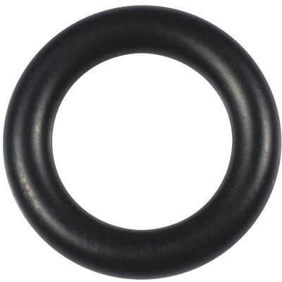 Compression Nut O-Ring