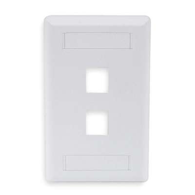 Wall Plate,2 Port