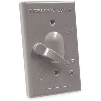 Lever Switch,Weatherproof,1