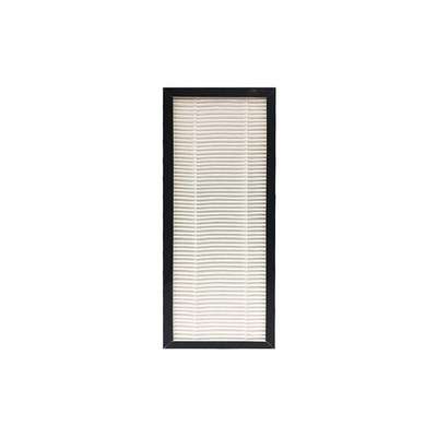 Replacement Filter,Hepa,2HPE1