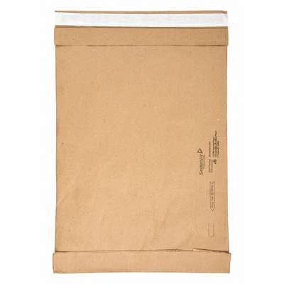 Padded Mailer,16 In. L,Self