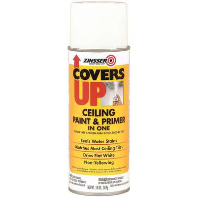 Stain Sealing Paint,13 Oz