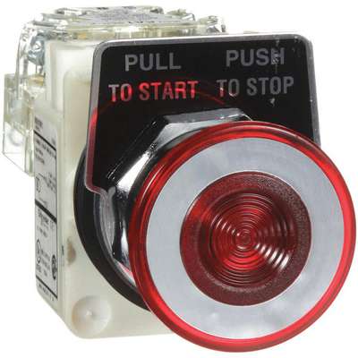 Illuminated Push Button,30mm,