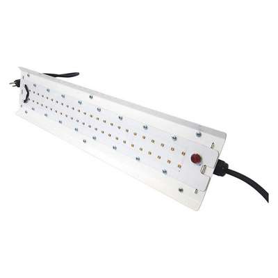 Uv-C LED Light,50W,Cord w/Plug