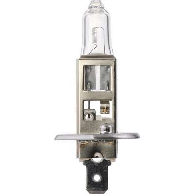 Headlight Bulb Md H1 P14,5S