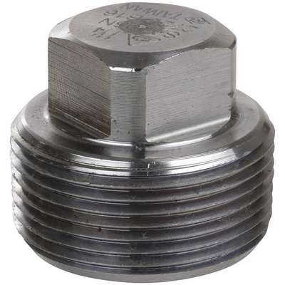 Square Head Plug,1/2 In,316 SS,