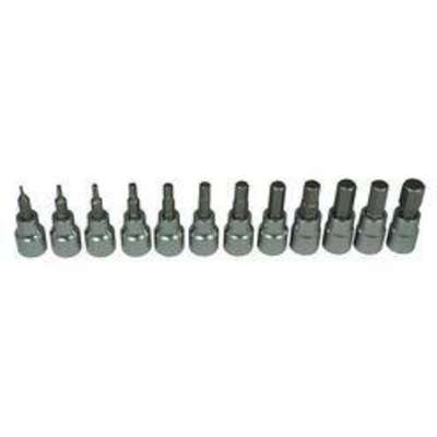 Socket Bit Set,3/8 In. Dr,12