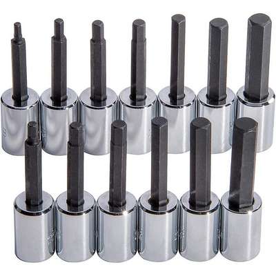 Socket Bit Set,3/8 In. Dr,13