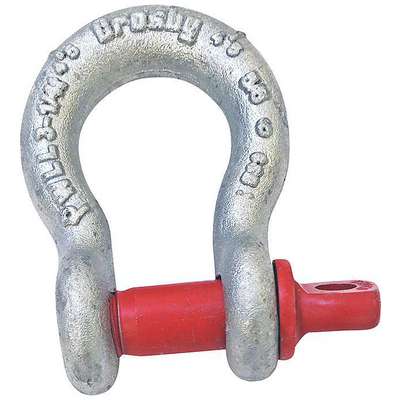 Anchor Shackle,Carbon Steel,