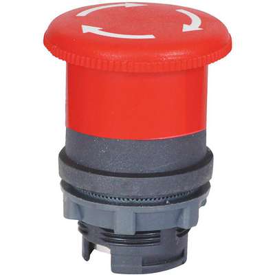 Push Button,22mm,Turntorlease,