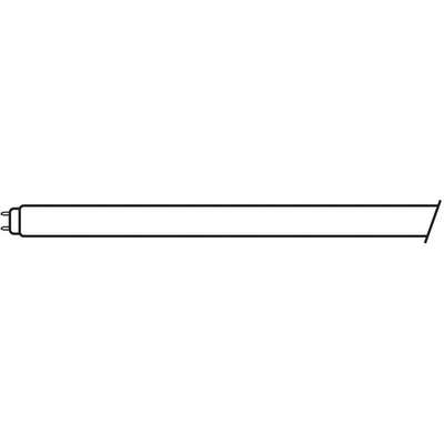 Fluorescent Lamp,T8,Daylight,