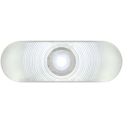 LED Bckp Lght Wht Oval 6" 1DIO