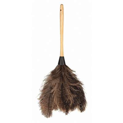 Feather Duster, 14"