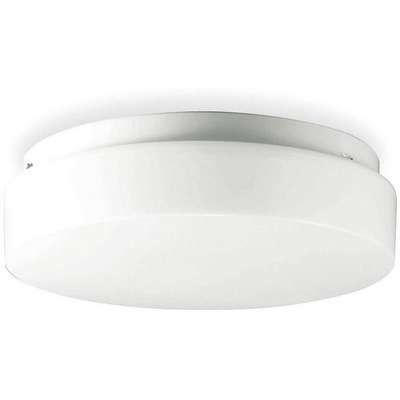 Ceiling Fixture,22W,Circular,