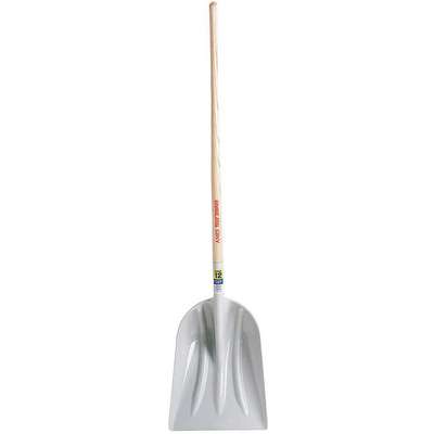 Grain Scoop,48 In. Handle,Poly