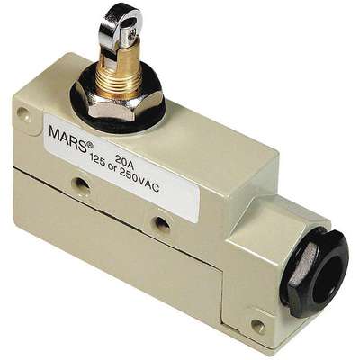 Roller Plunger Door Switch,120/