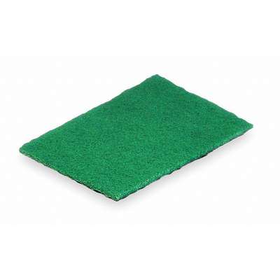 Scouring Pad,Green,6 In.L,9 In.