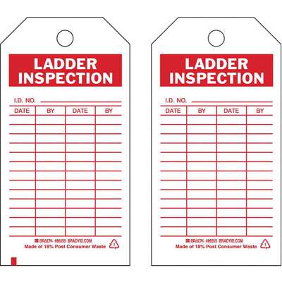 Lad Inspection Tag,5-3/4 x 3