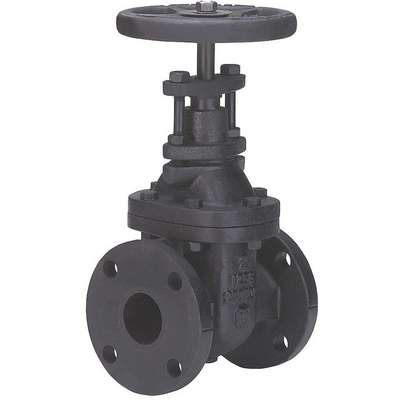 Gate Valve,Class 125,4 In.