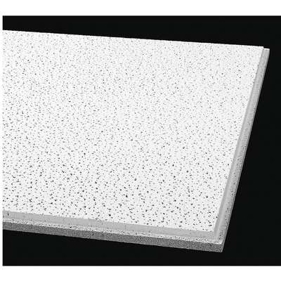 Ceiling Tile,24" W,48" L,5/8"