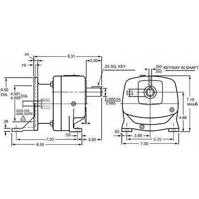 PI_Asset_1768804