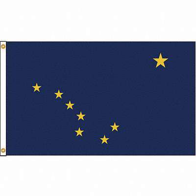 Alaska Flag,4x6 Ft,Nylon